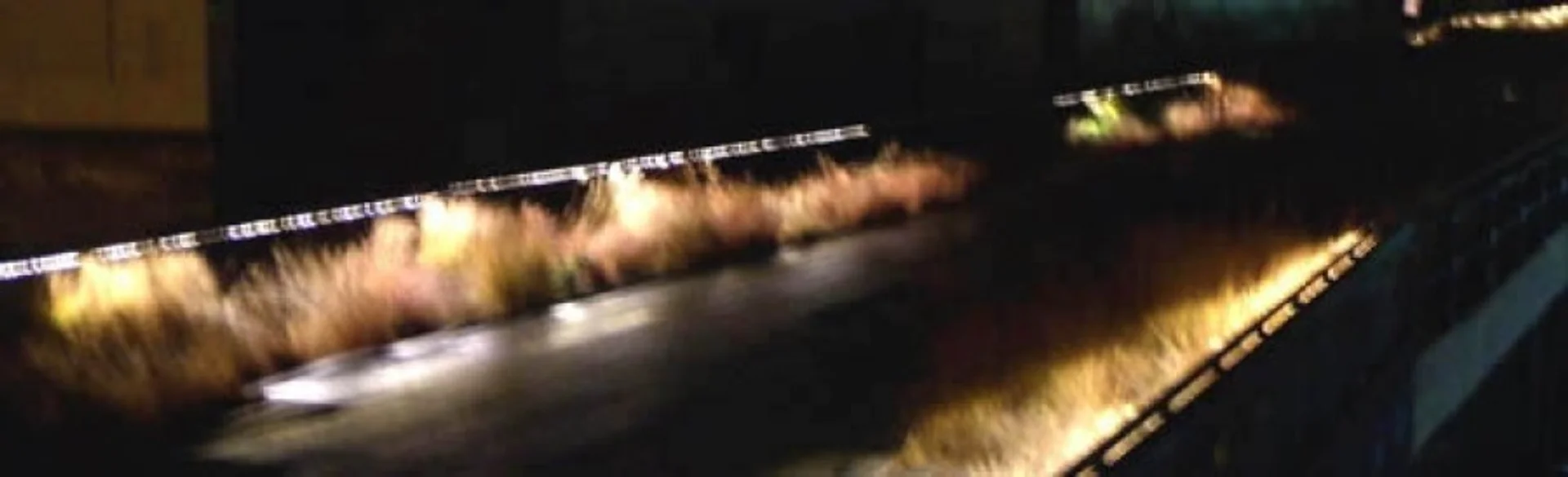 Del verde a la gentrificación