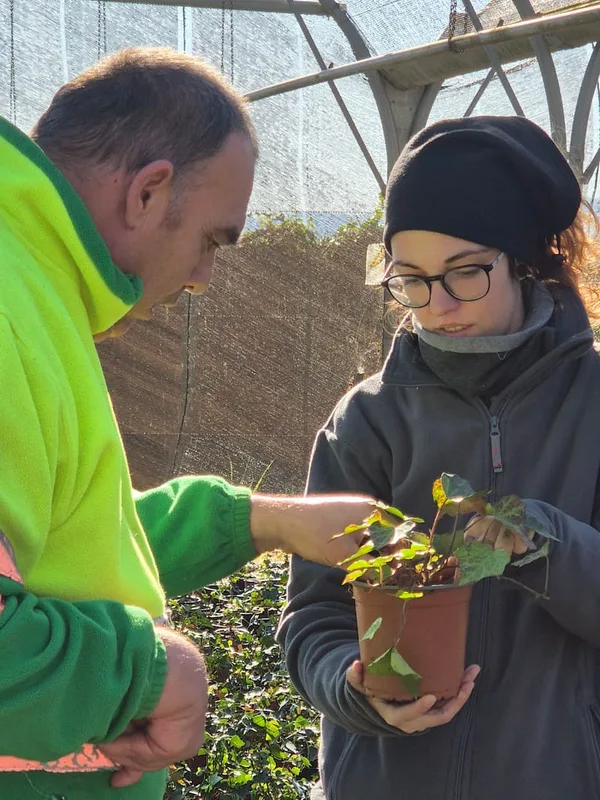 Equipo trabajando con plantas en el invernadero
