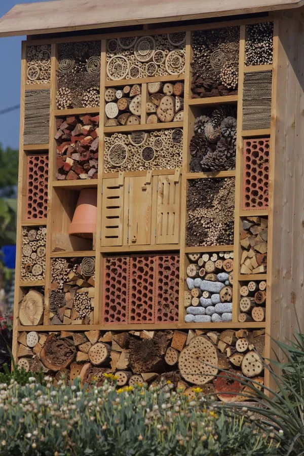 Hotel de insectos para fauna auxiliar en el vivero
