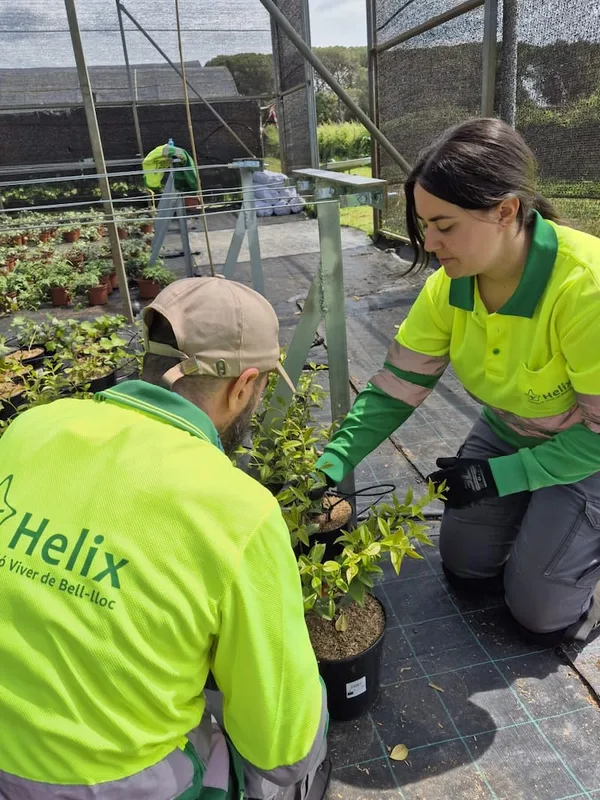 Trabajadores en formación en el vivero con la Fundación Helix