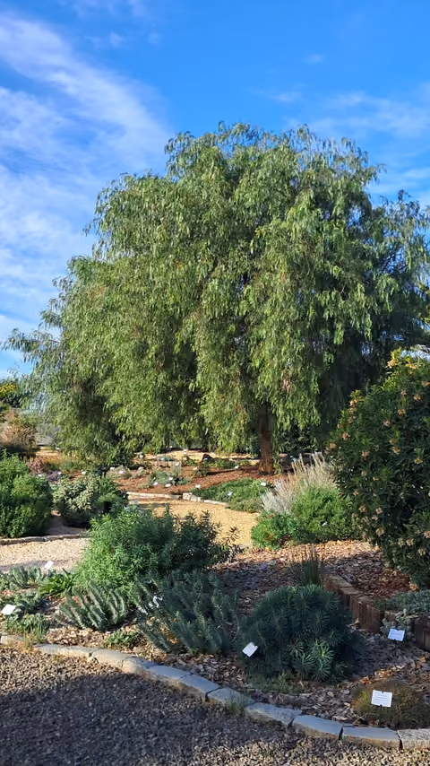 Jardí de Demostració