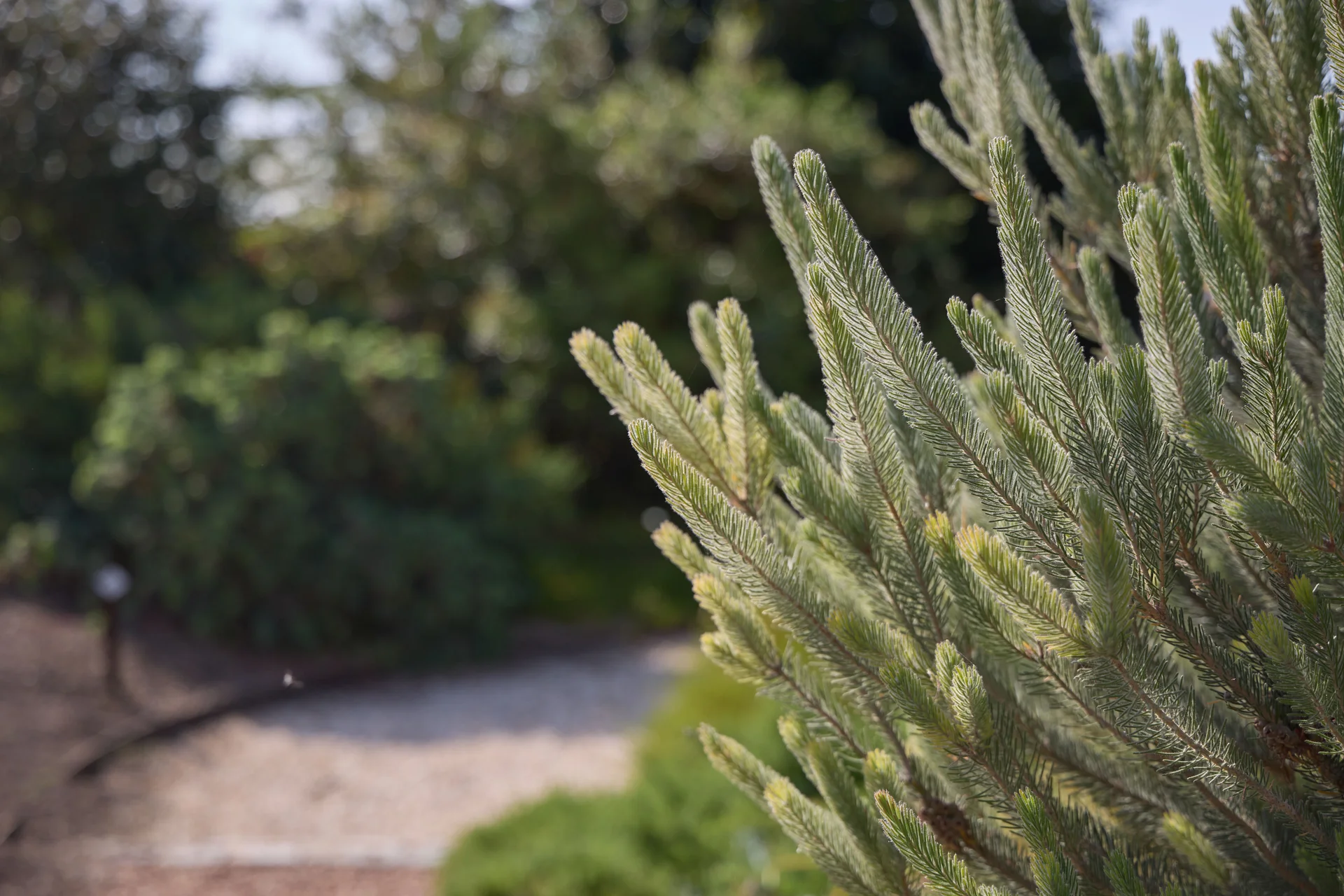 Jardí de Demostració