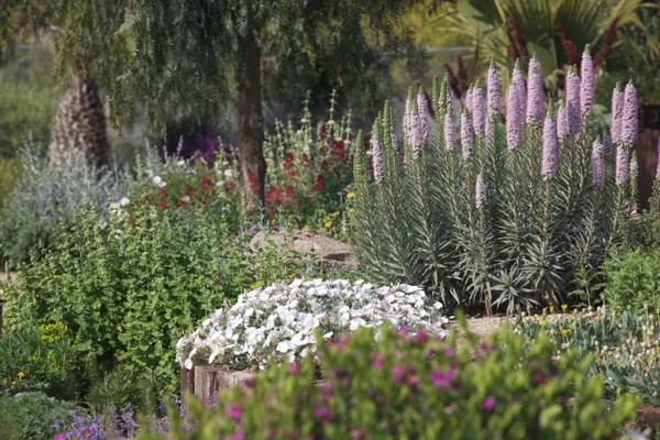 Demonstration garden ambiance