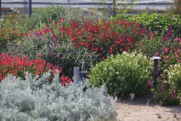 Mediterranean garden zones