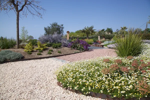 Mediterranean species in the garden