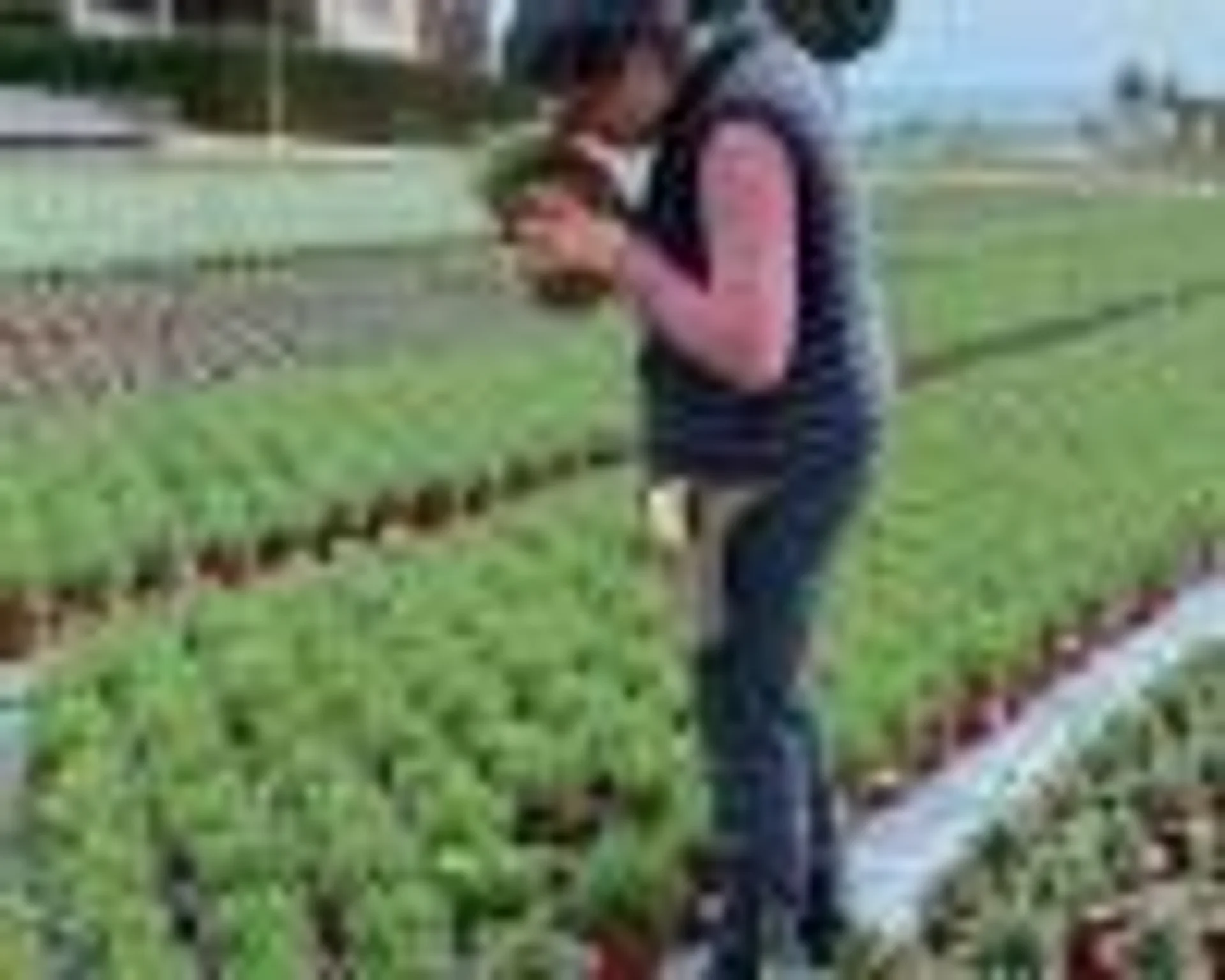 Technical Visit at Sala Graupera