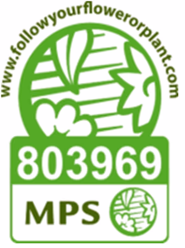 Logo certificació mediambiental MPS