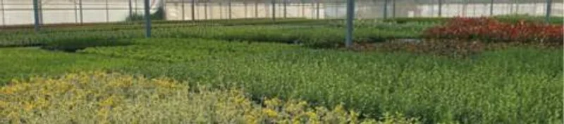 Catalogue Général 2024